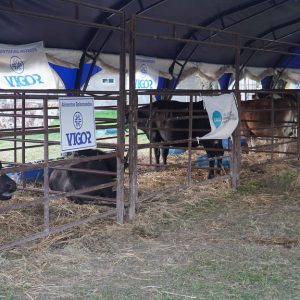 54534005950_0ecd4ed35b_b