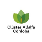 Alfafla_Mesa de trabajo 1