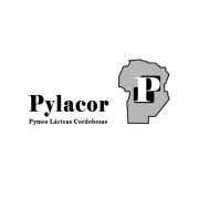 Pylacor 2024_Mesa de trabajo 1