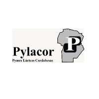 Pylacor_Mesa de trabajo 1