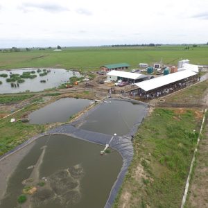 Toma-aerea-sobre-el-tambo-donde-se-observa-el-manejo-de-efluentes-foto-Facebook-TamboDem